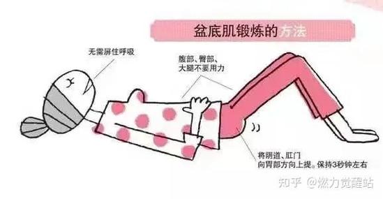 盆底肌的训练方法视频截图