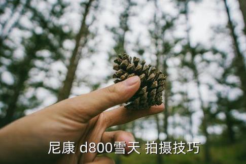 尼康d800人像模式设置截图
