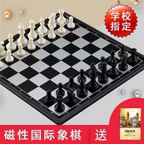 磁石国际象棋初学视频