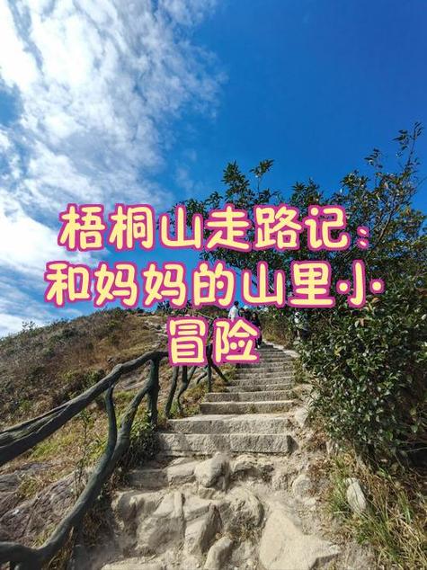 步行步数