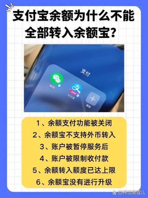 支付宝余额转不进余额宝怎么回事