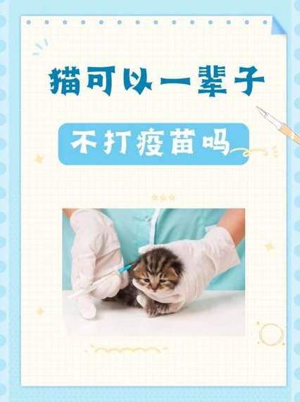 养猫要从小开始养吗