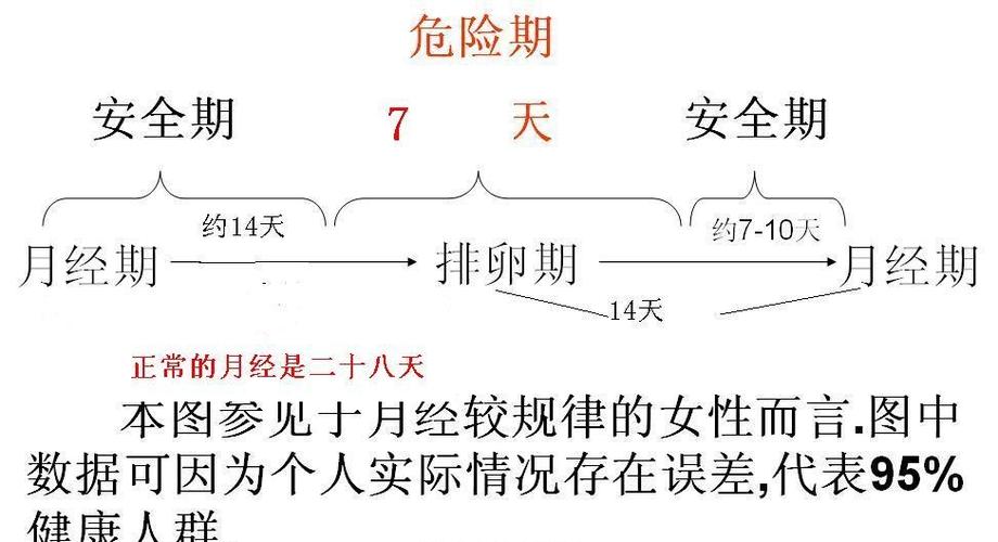 怎么算自己的排卵期
