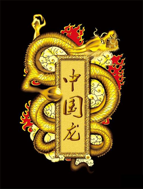 中国龙app下载截图