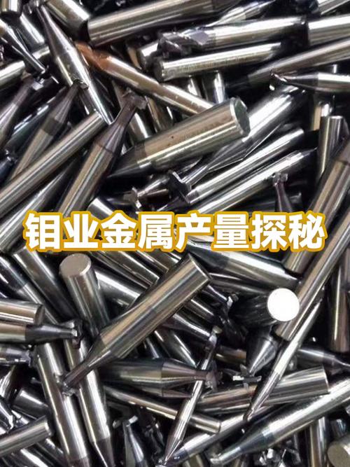 量钴元宝