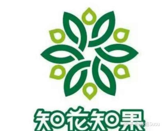 知花知果社区团购加盟