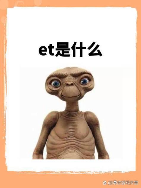 WIT缩写代表什么