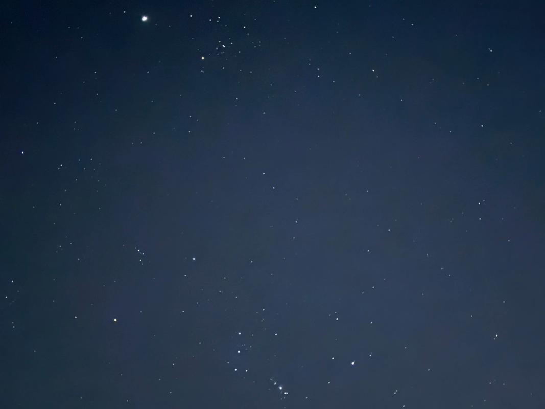 gwx04星星视频