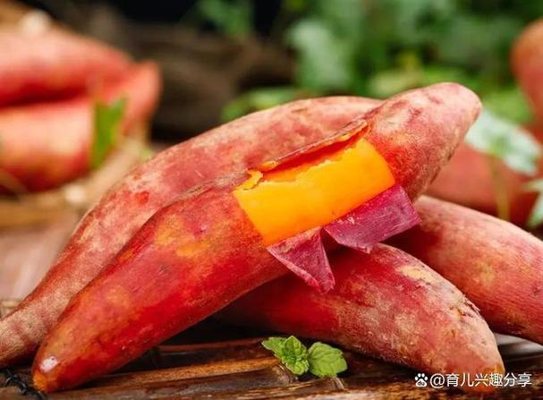 红薯比喻什么女人