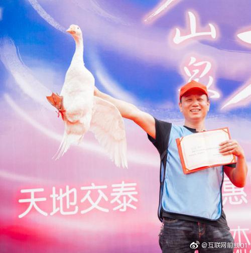 泰木谷是什么模式
