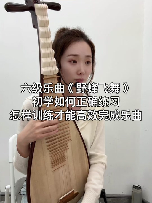 琵琶野蜂飞舞教学视频慢版缩略图