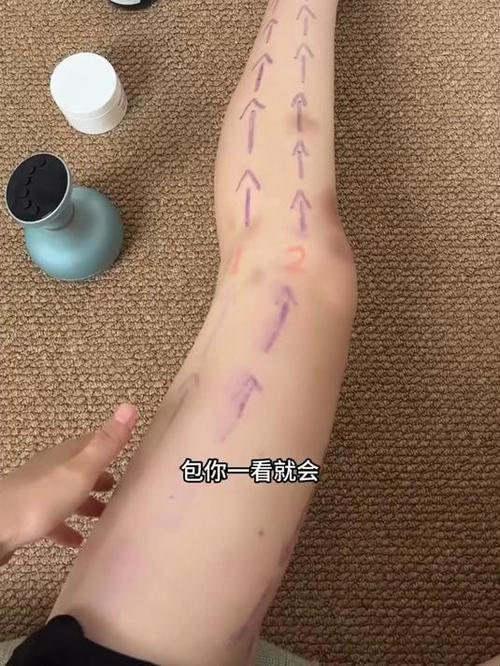 一看就会