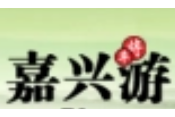 嘉兴地方游戏网