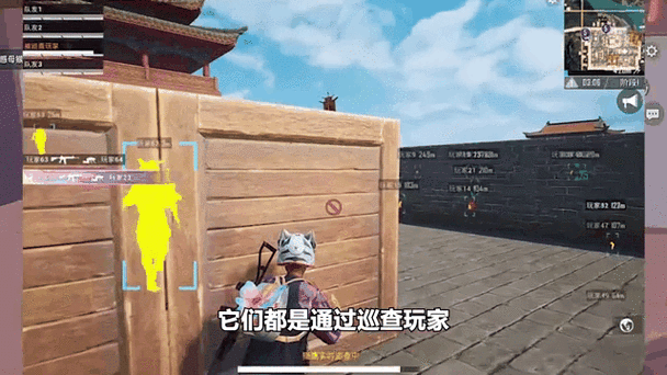 和平精英猎鹰巡查是干嘛的