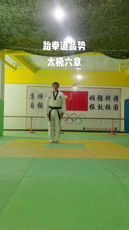 太极六章教学视频截图