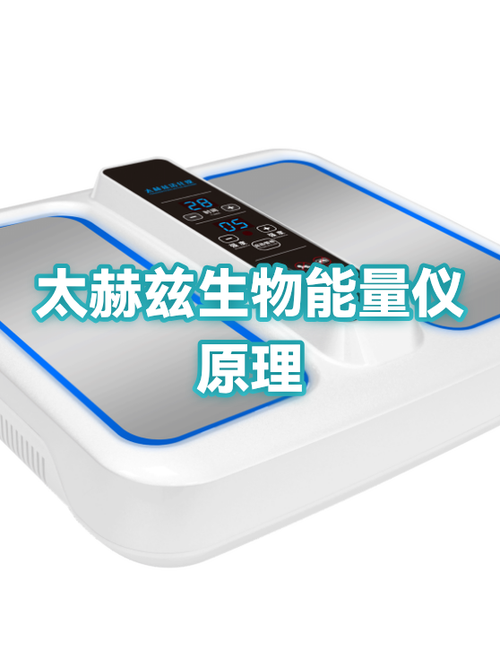 生物能量仪多少钱一台游戏截图