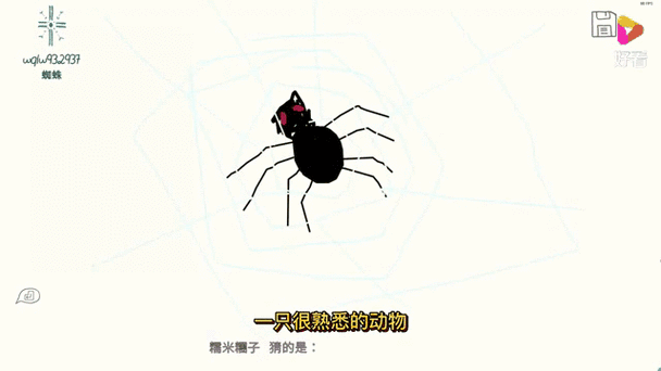 蜘蛛在生活中的进化方式