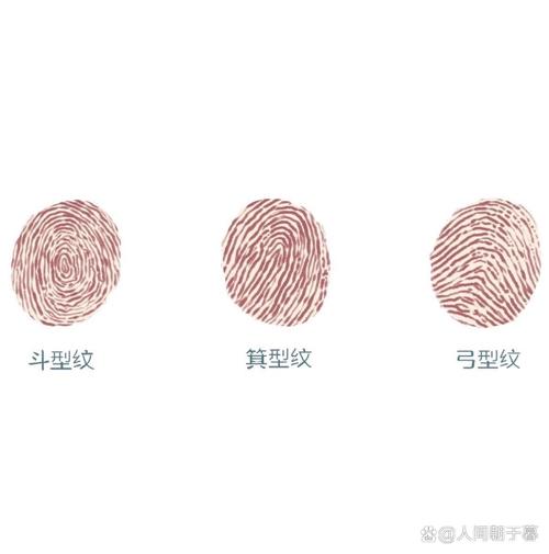 贴了膜没法用超声波指纹