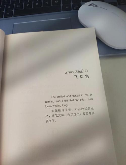 带鸟的字大全