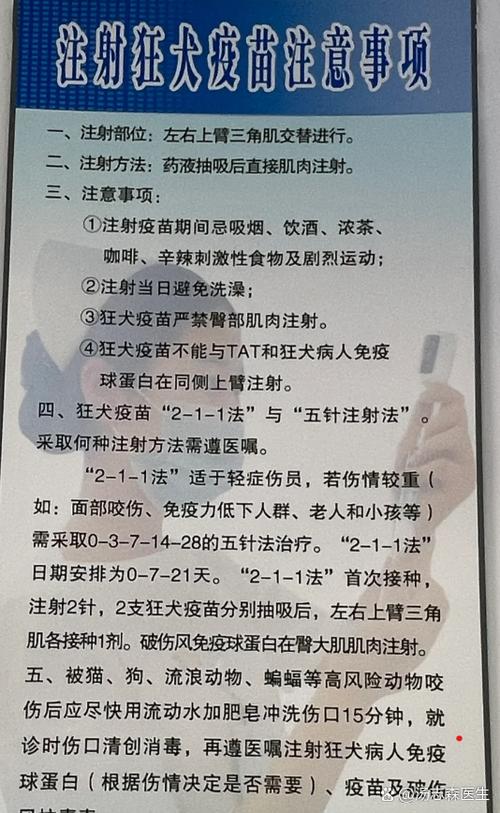 什么程度要打狂犬疫苗