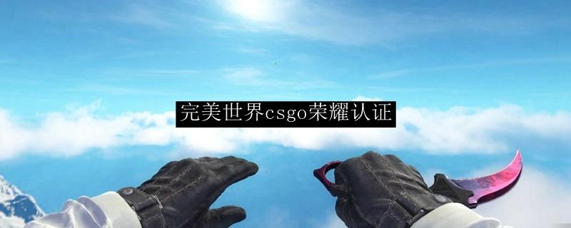 完美世界实名制认证