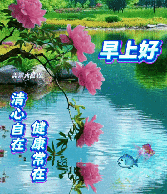 女人发早上好是暗示吗