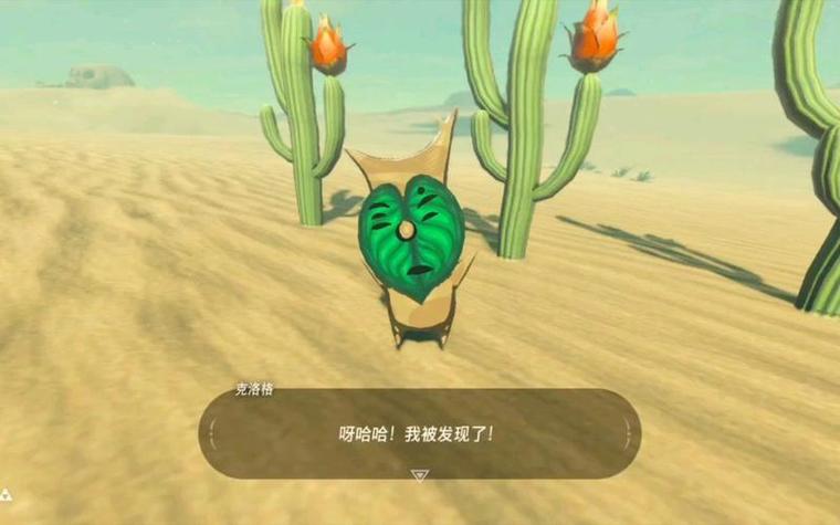 塞尔达传说呀哈哈有什么用