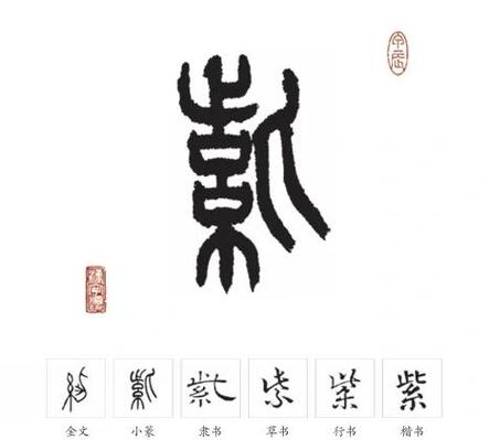 姓氏紫是哪个字图标