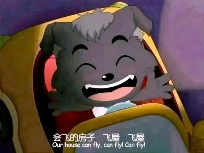 小灰灰表情包大全