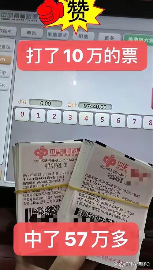 三组六码月入10万