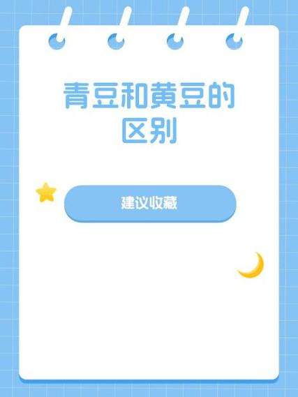 新青豆小说网app介绍