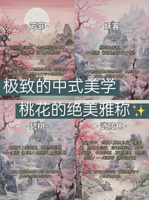 桃花宝典有多少境界