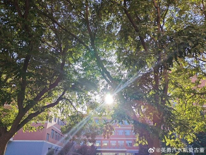 流光白显老还是显年轻