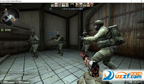 csgo需要实名认证吗