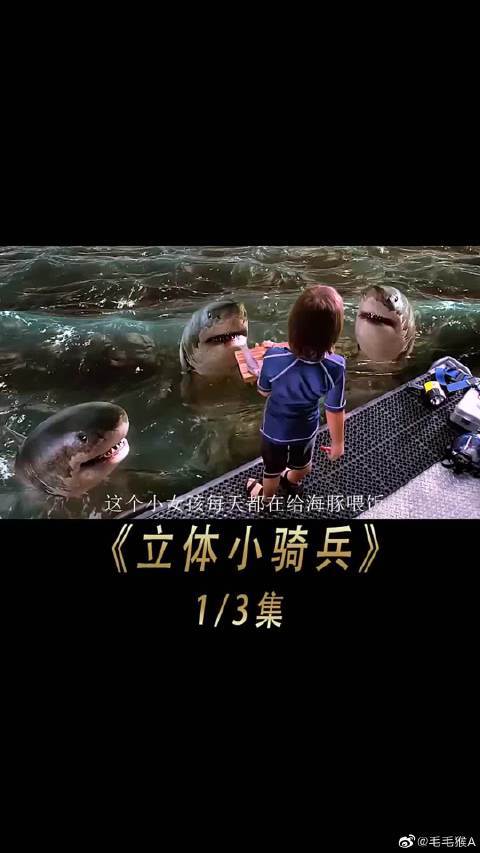 被鲨鱼养大的男孩电影缩略图