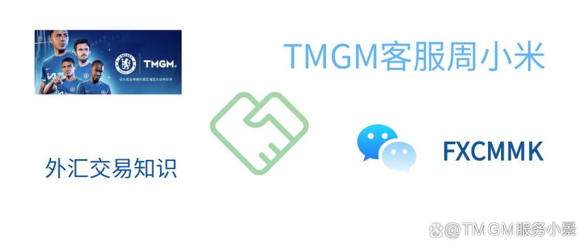 tmgm官网客户端app