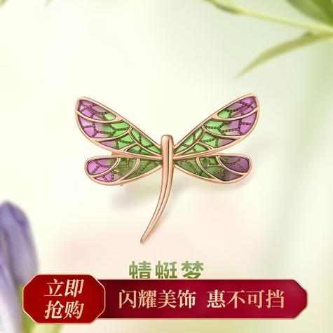 蜻蜓饰品寓意