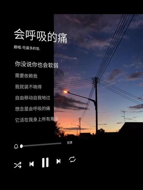 会呼吸的痛的歌曲