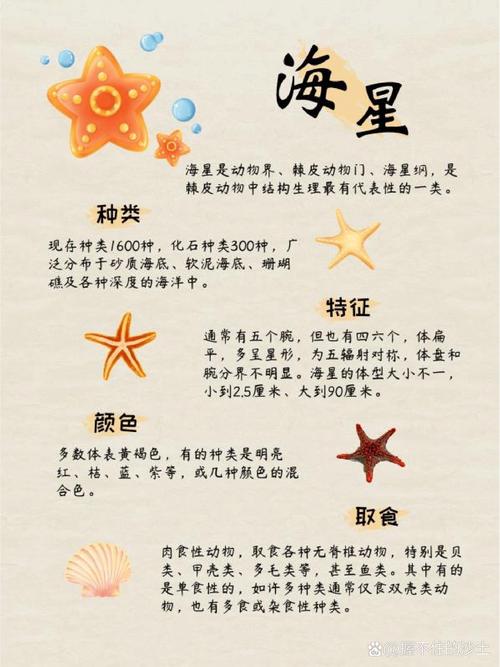 海星的简介缩略图