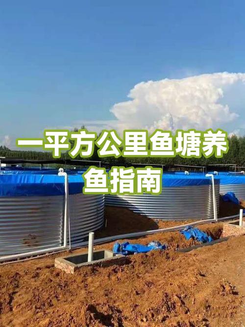 人工养鱼一平方养多少