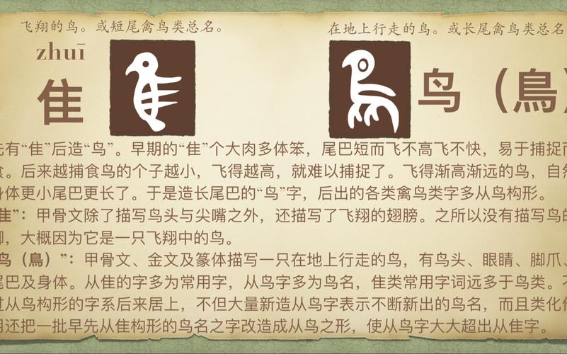带有鸟和隹的字有哪些缩略图