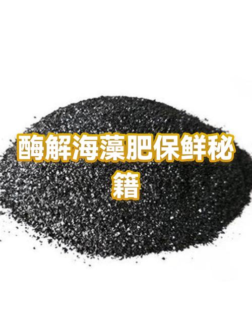 海藻一般保质期几年图标
