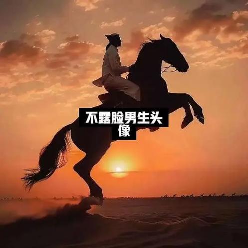 微信男士头像图片大全截图