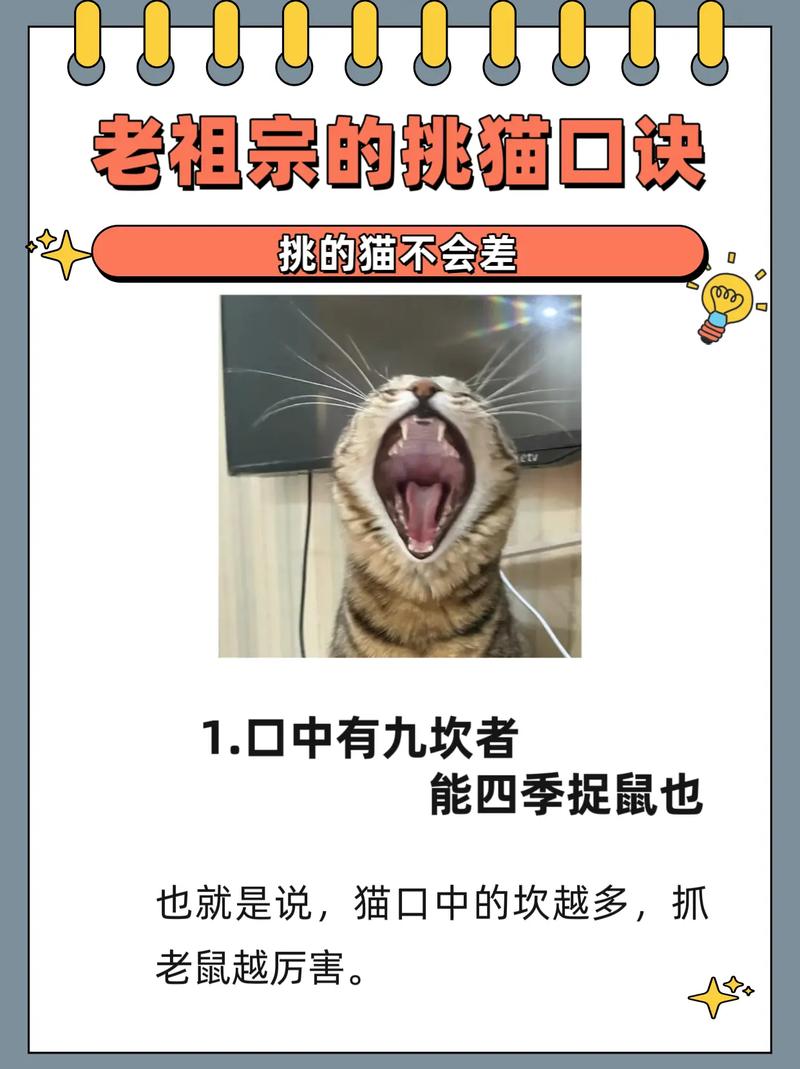 猫口诀(最正宗)