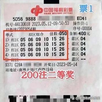 广东摆八张大小注算法
