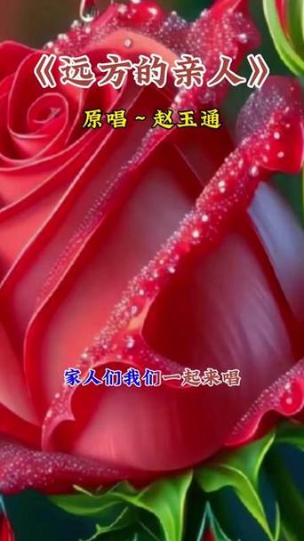 远方的亲人