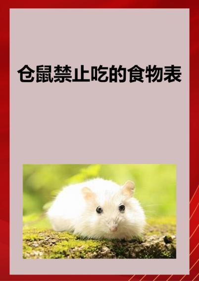 小仓鼠一天不吃东西会不会饿死