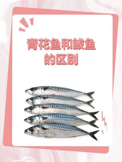 青花鱼网