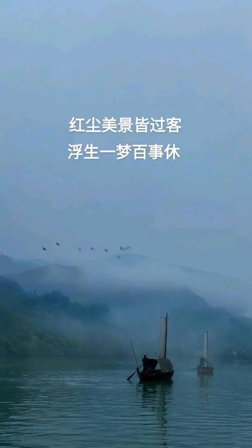 红尘皆过客下一句