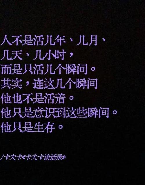 有关人生一多半是在瞎忙的句子
